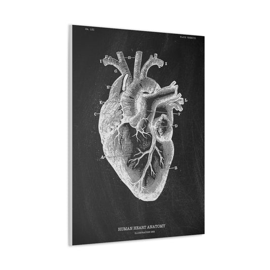 Heart Black Anatomy Canvas