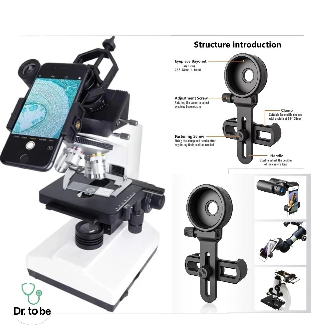 Cell phone holder to microscope