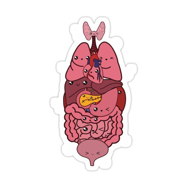 GI System Sticker - drtobe