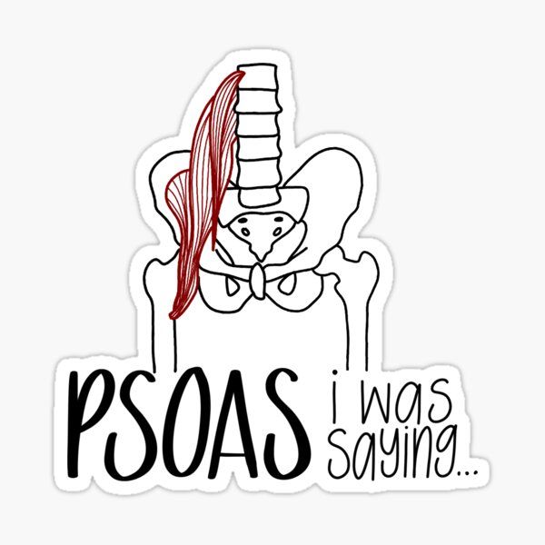 "PSOAS i was saying..." Sticker - drtobe