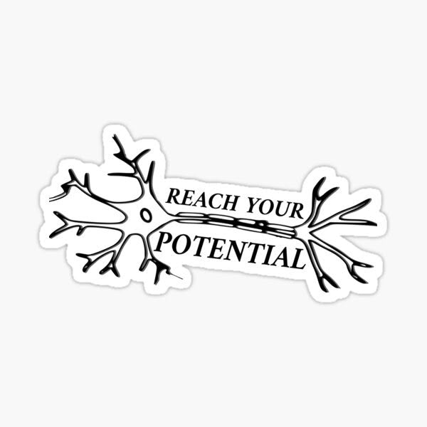 "REACH YOUR POTENTIAL" Sticker - drtobe