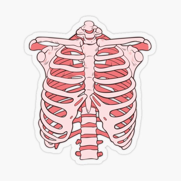 Ribcage Sticker - drtobe