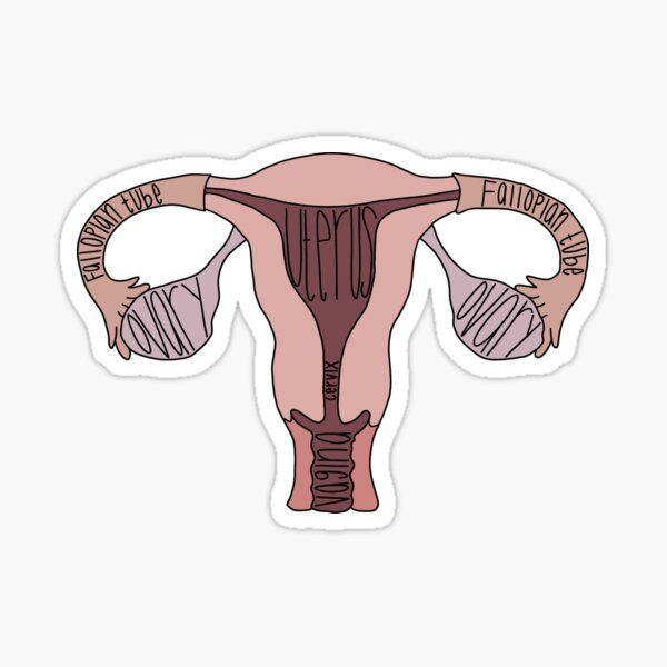 Uterus Sticker - drtobe