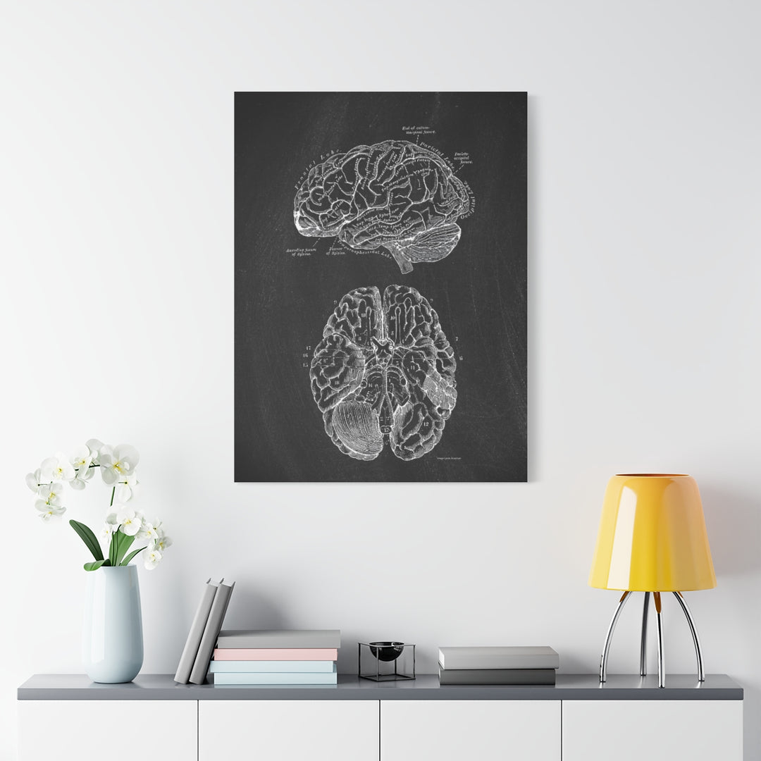 Human Brain Black Anatomy Canvas