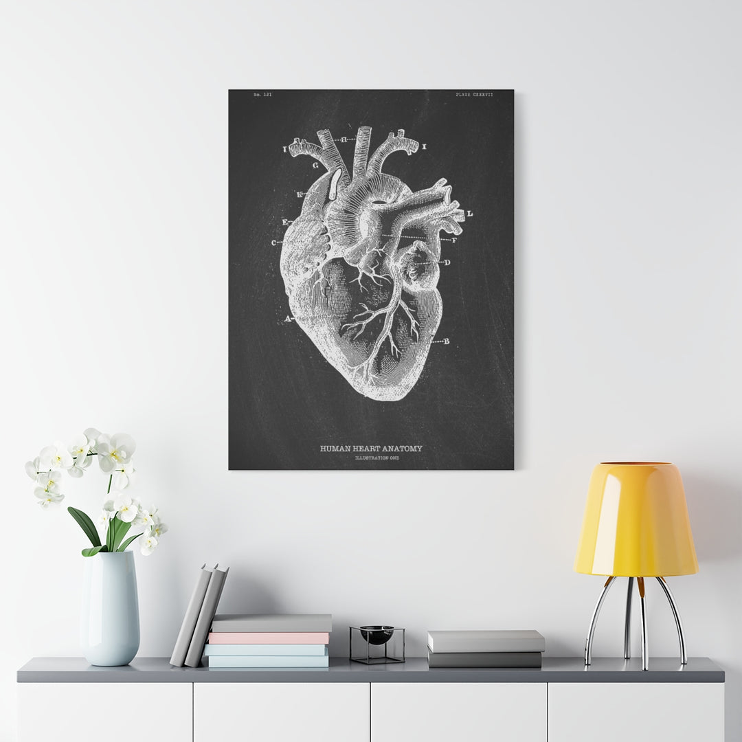 Heart Black Anatomy Canvas