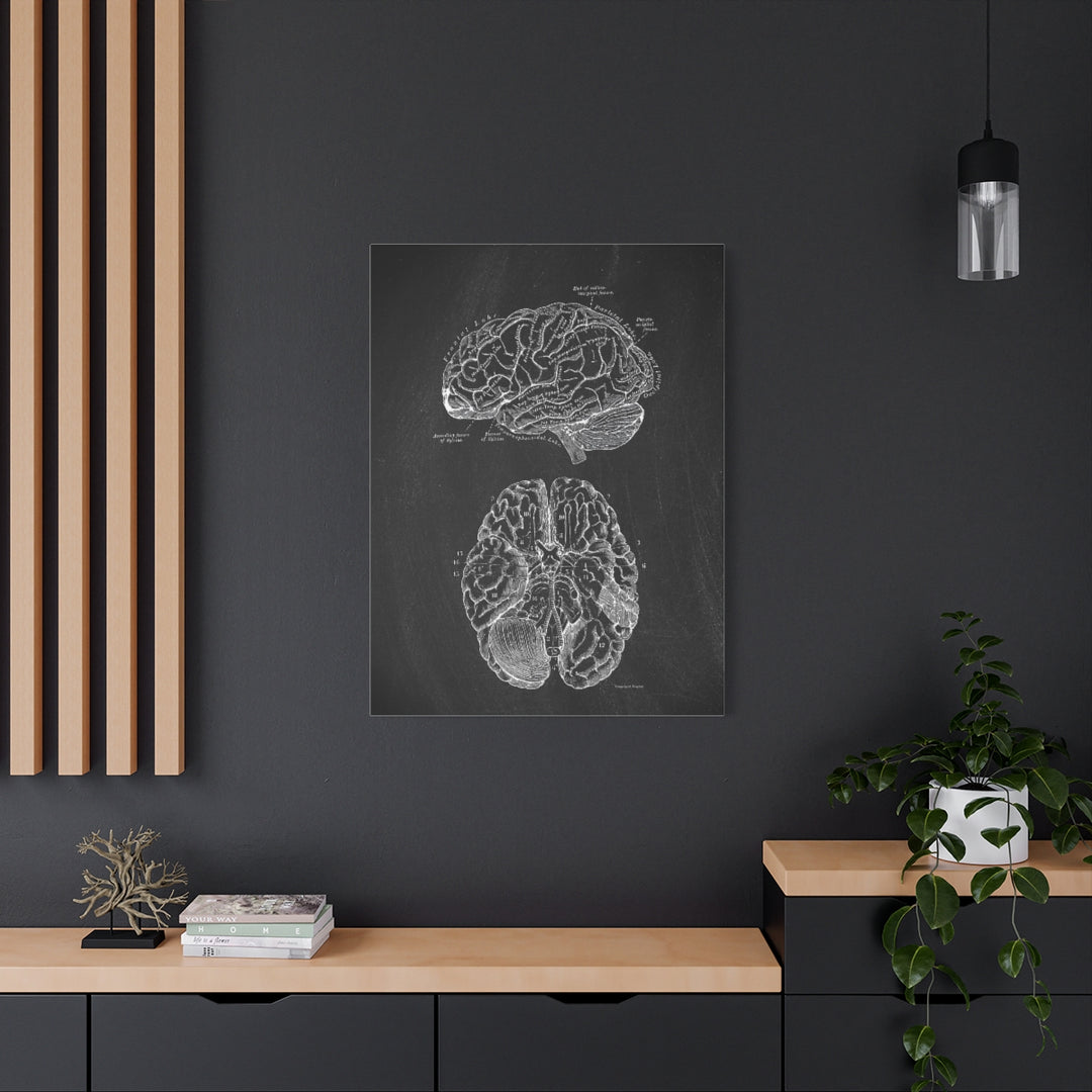 Human Brain Black Anatomy Canvas