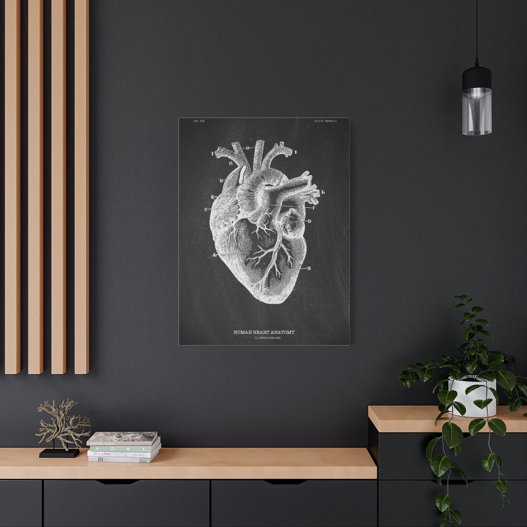 Heart Black Anatomy Canvas