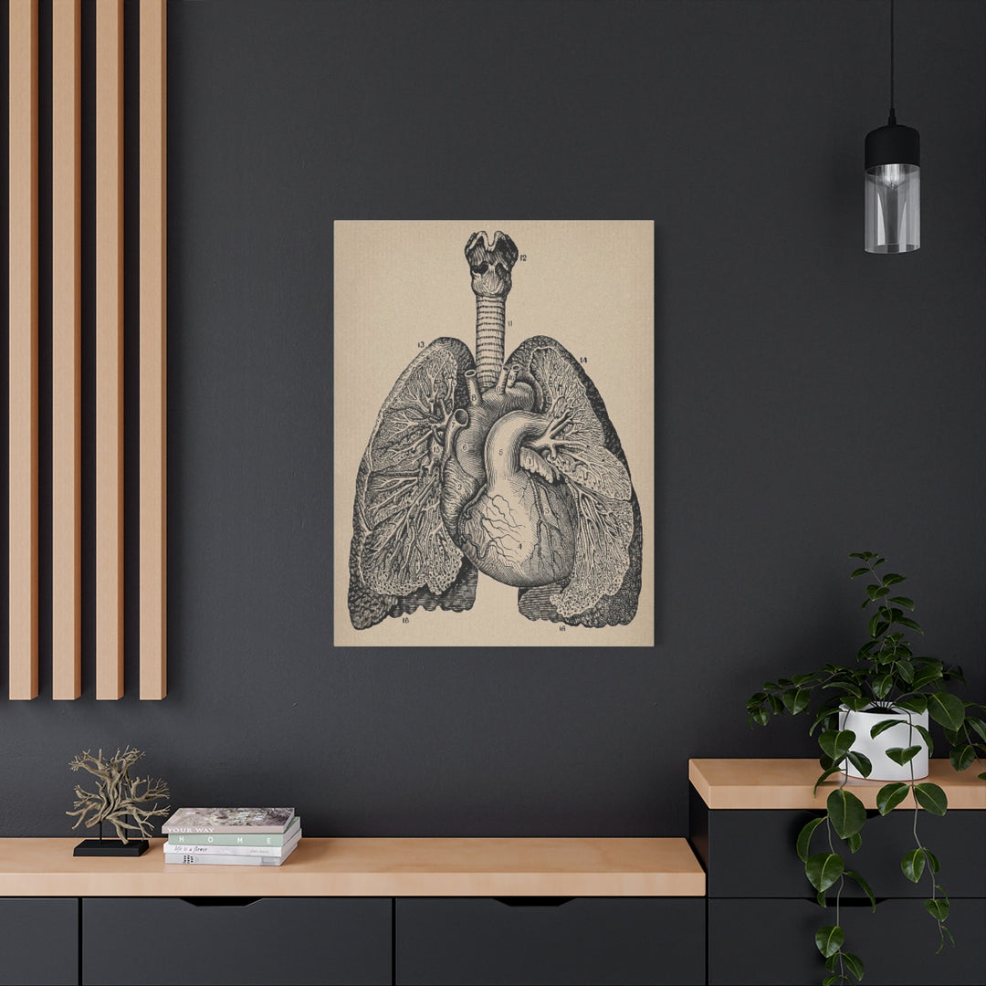 Lung Anatomy Canvas