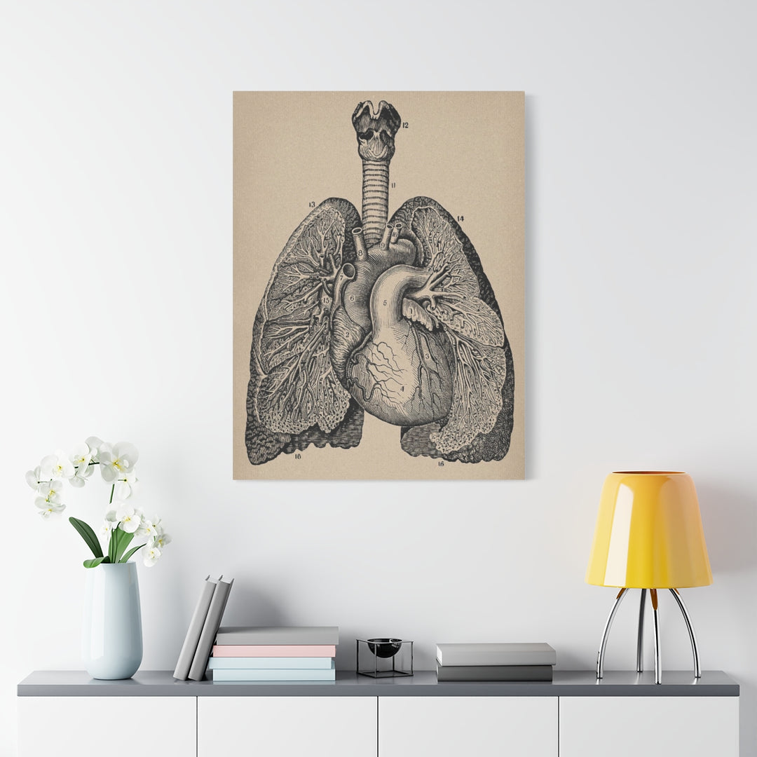 Lung Anatomy Canvas