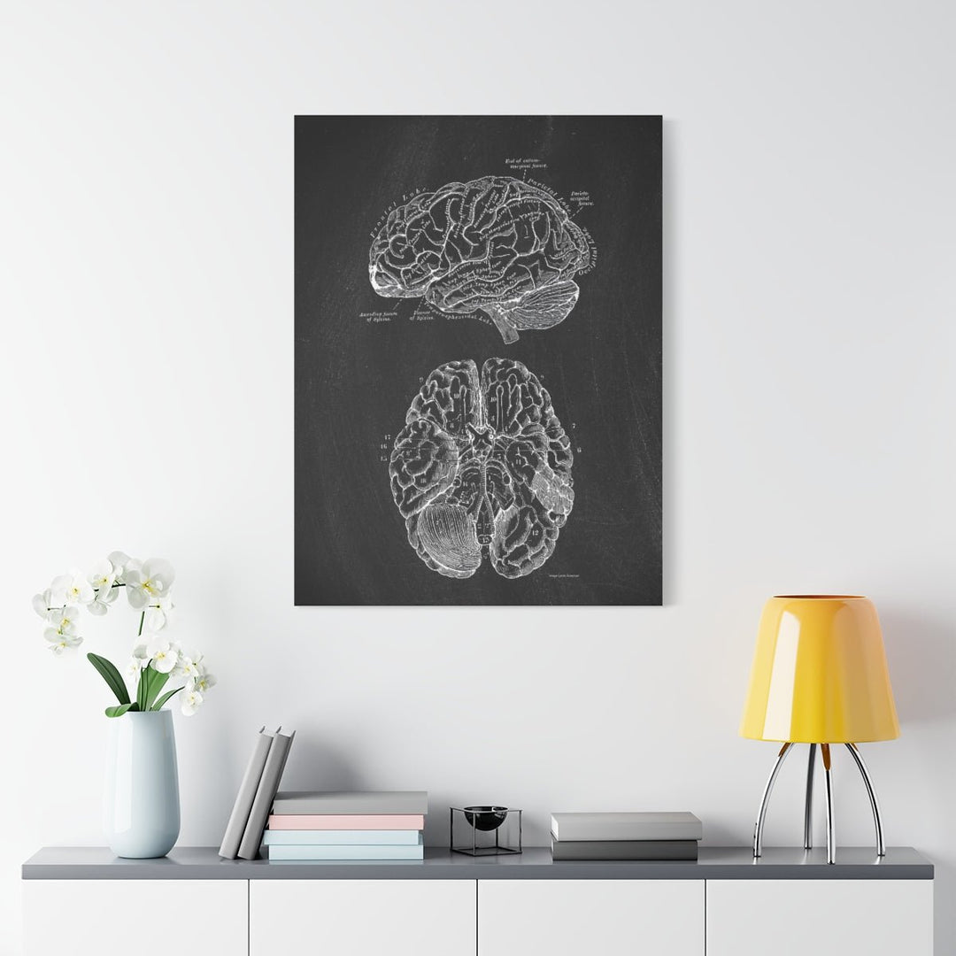 Human Brain Black Anatomy Canvas - drtobe