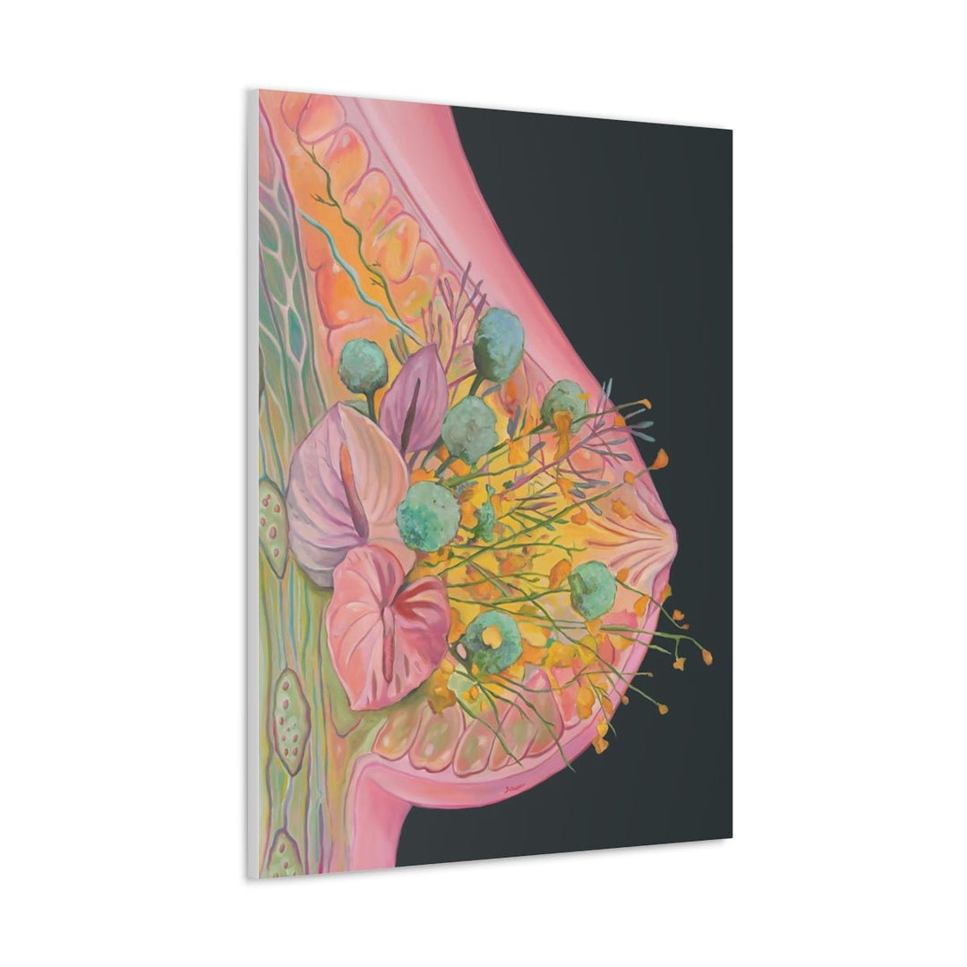 Human Breast Art Canvas - drtobe